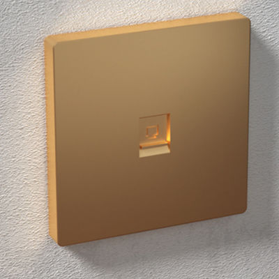 ANSHI 86 Type 2 Ports Face Plate With Gold Spraying & With Shutter